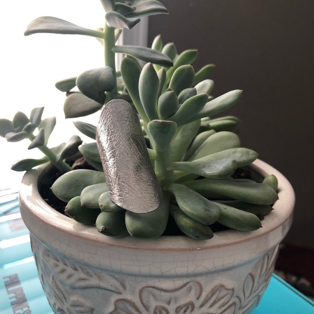 Silver ring